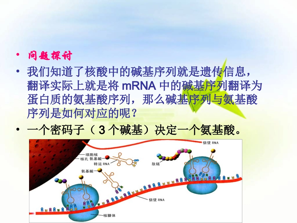 遗传密码的破译讲解_第3页