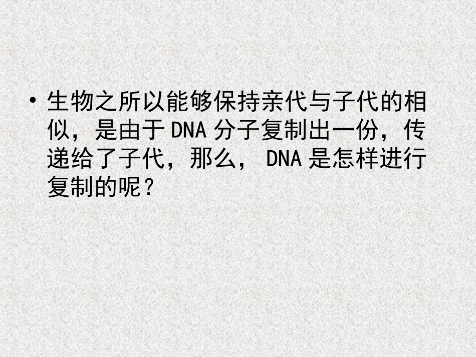 遗传信息的传递DNA复制遗传信息的传递_第2页