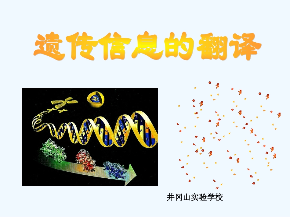 遗传信息的翻译_第1页