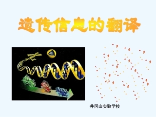 遗传信息的翻译