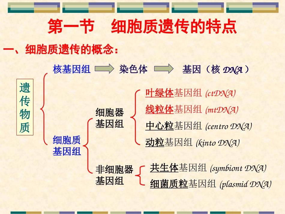 遗传学细胞质遗传_第2页