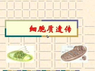 遗传学细胞质遗传
