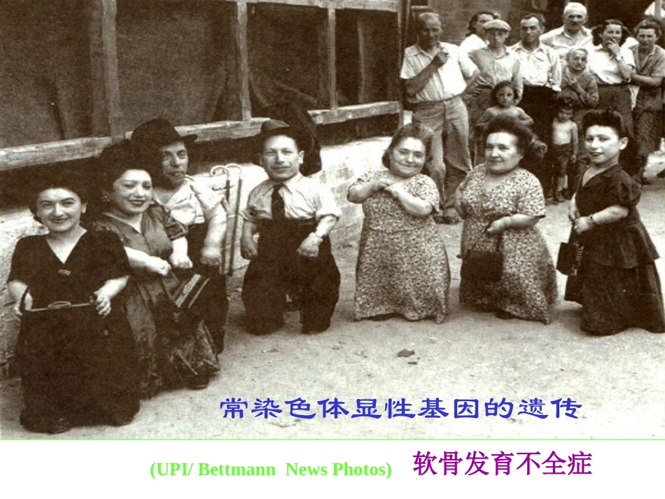 遗传与优生学_第2页