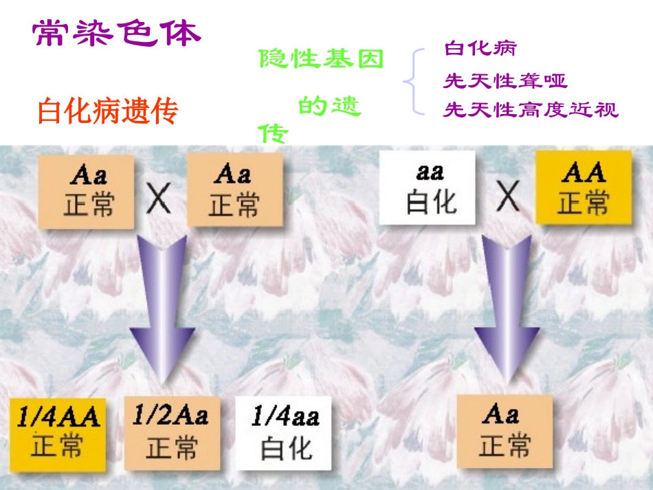 遗传与优生学_第3页