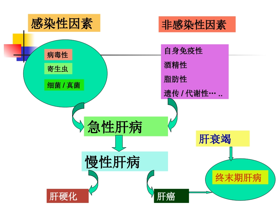 乙肝丙肝自身免疫性肝病治疗_第2页