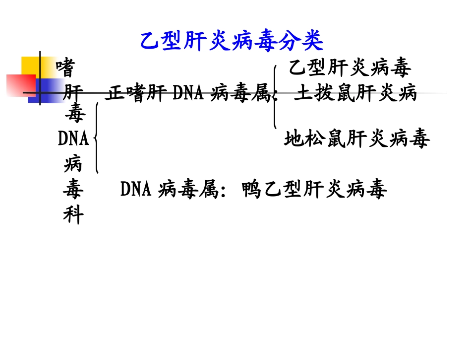 乙型肝炎病毒_第3页