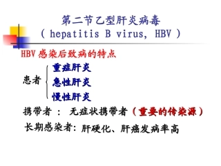 乙型肝炎病毒