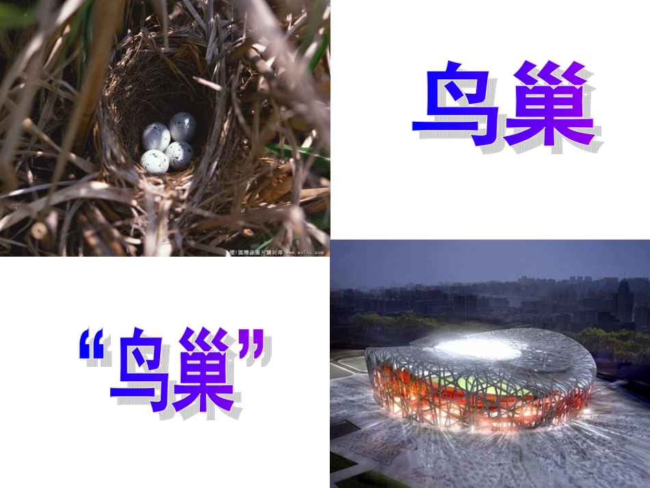 意识的作用分析_第3页