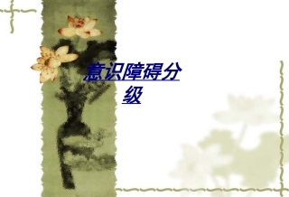 意识障碍分级讲义