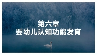 婴幼儿认知发育
