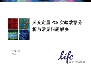 荧光定量PCR实验数据资料