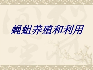 蝇蛆养殖和利用培训课件