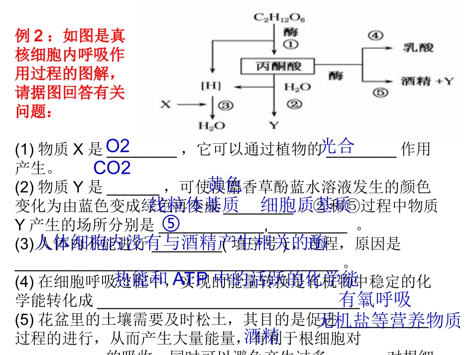 影响细胞呼吸作用的因素_第3页