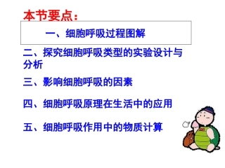 影响细胞呼吸作用的因素