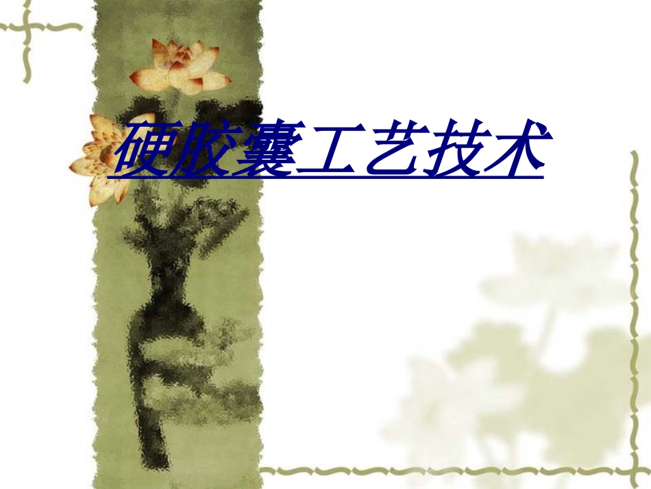 硬胶囊工艺技术讲义_第1页