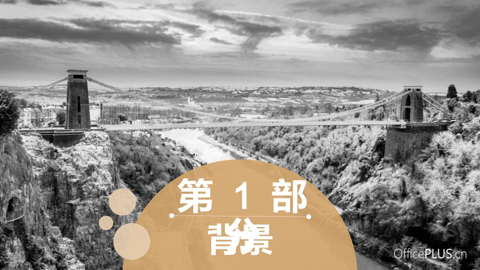 幽门螺杆菌疫苗_第3页