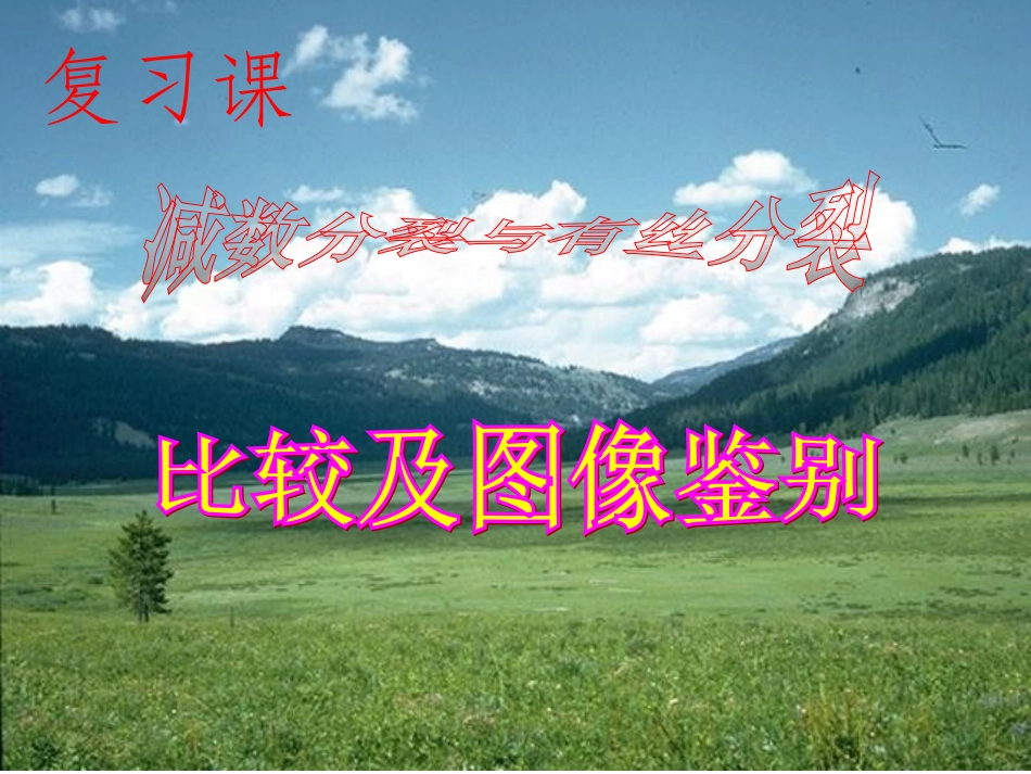 有丝分裂减数分裂图解最好的_第1页