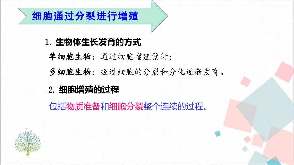 有丝分裂专题_第2页