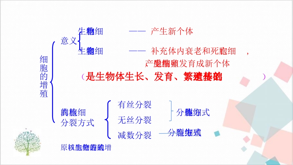 有丝分裂专题_第3页