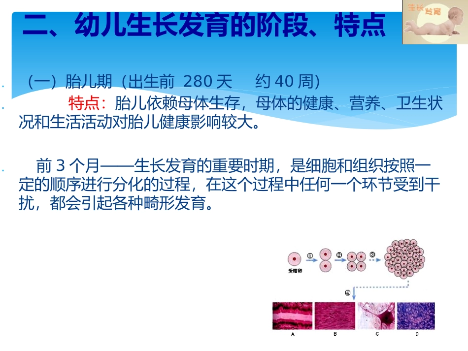 幼儿生长发育知识_第3页