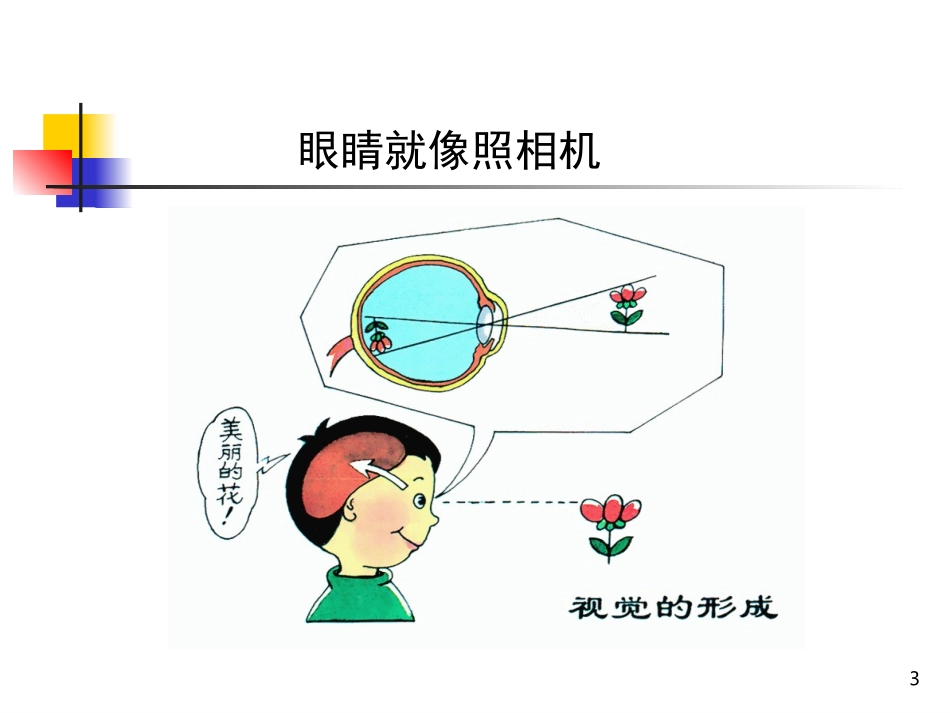 幼儿视力发育及保健课件_第3页