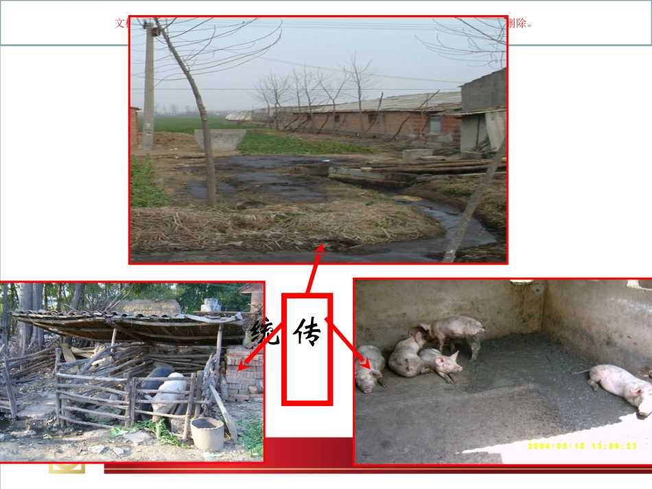 育肥猪饲养管理课件_第2页