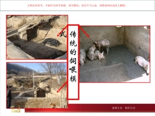 育肥猪饲养管理课件