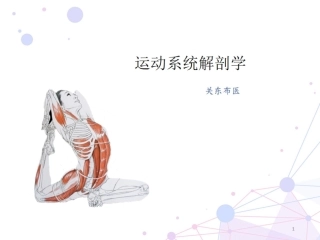 运动系统解剖骨