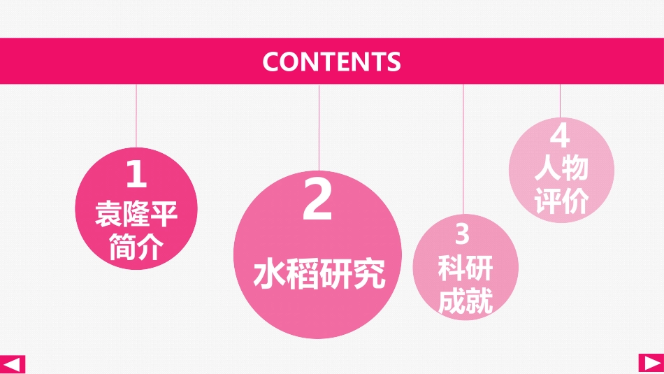 杂交水稻之父_第2页