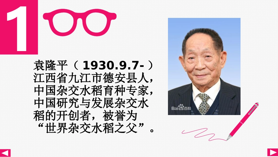 杂交水稻之父_第3页