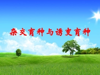 杂交育种和诱变育种