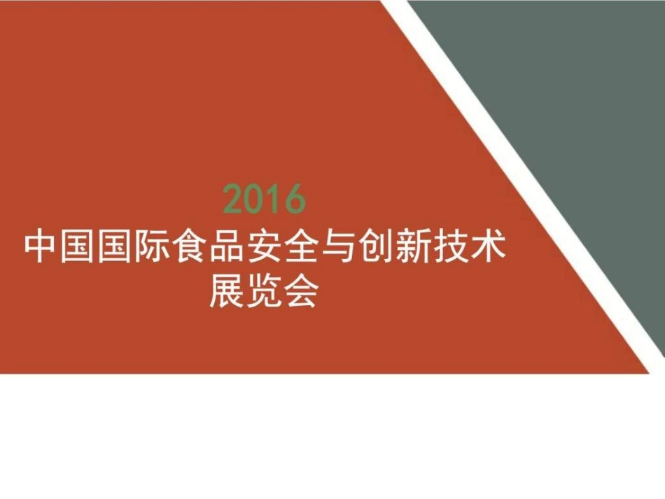 展会策划方案_第1页