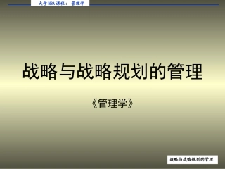 战略和战略规划的管理