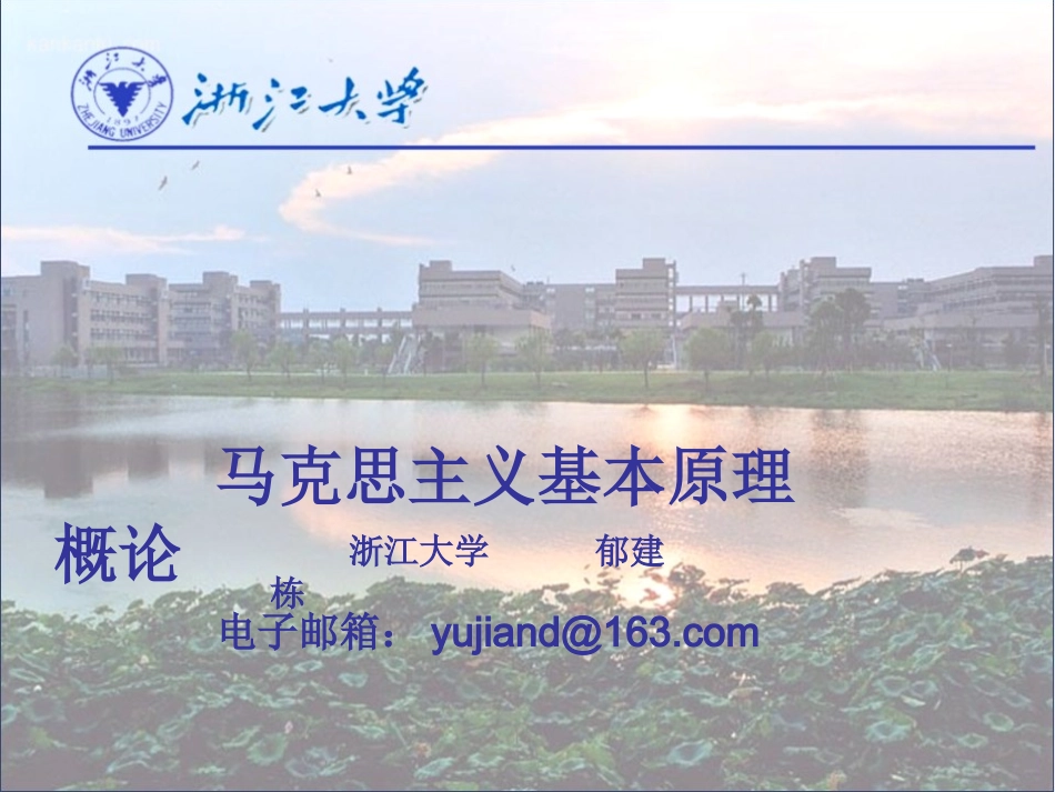 浙江大学马原课件_第3页