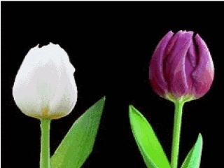 浙江大学马原课件