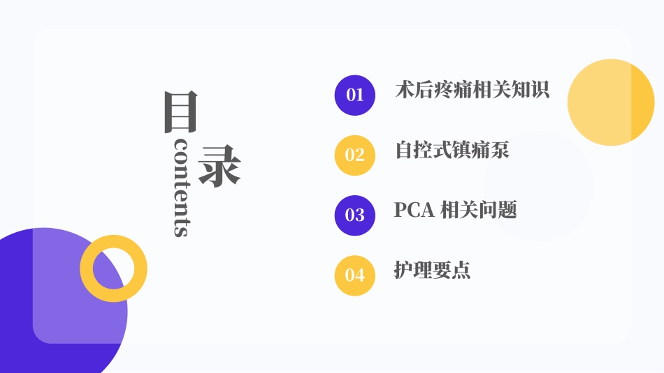 镇痛泵的使用及护理_第2页
