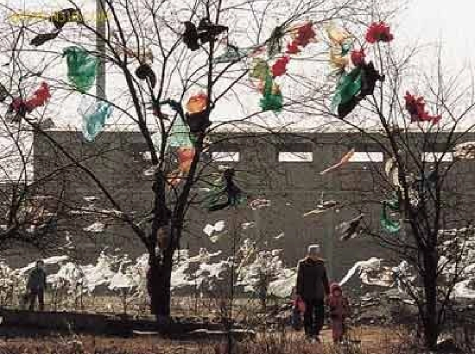 争做环保志愿者课件_第3页