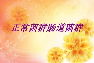 正常菌群肠道菌群培训课件