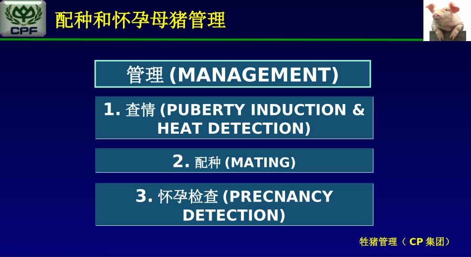 正大康地资料交配和怀孕母猪管理_第2页
