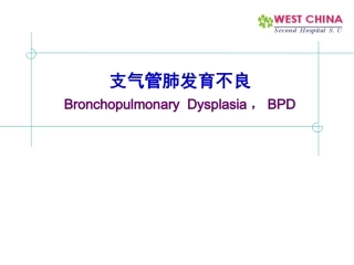 支气管肺发育不良