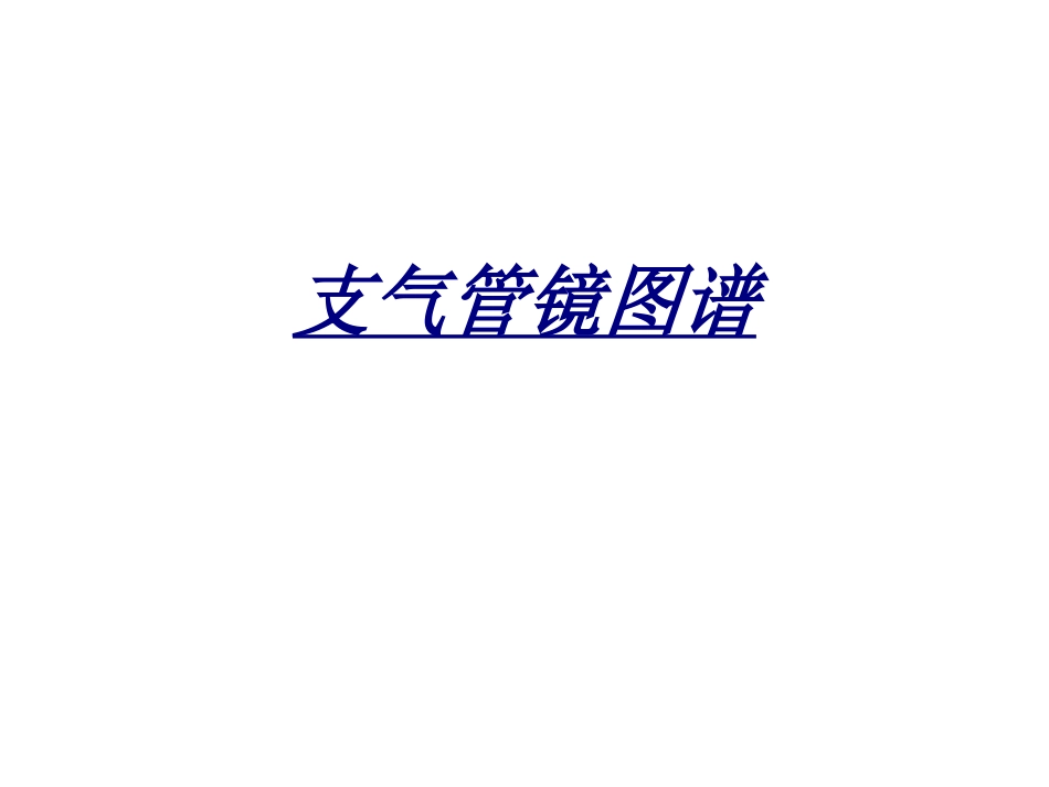 支气管镜图谱讲义_第1页