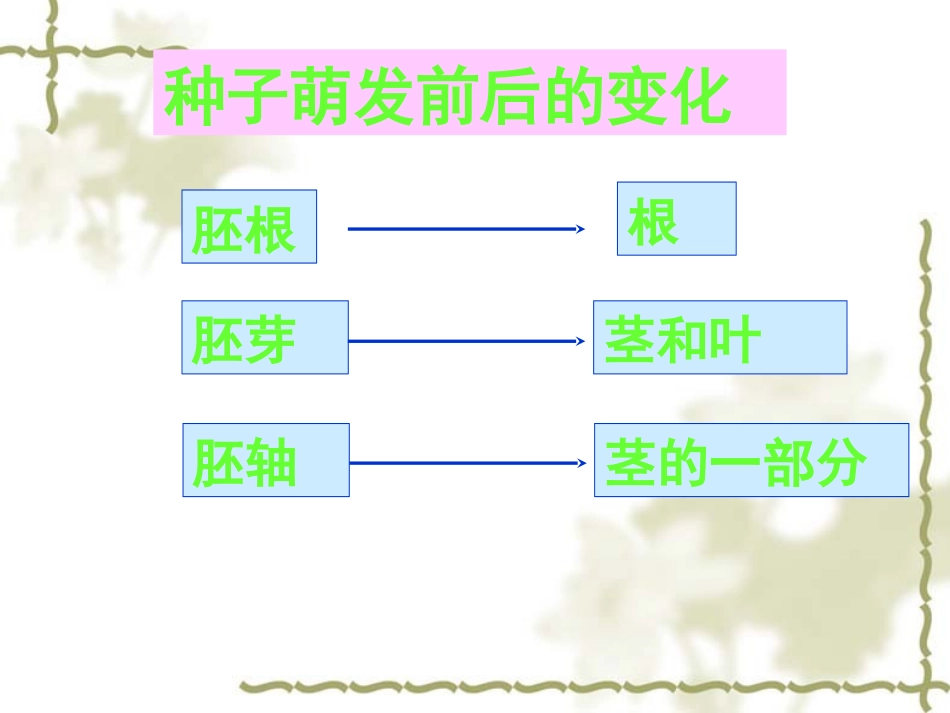 植物的生长开花与结果_第3页