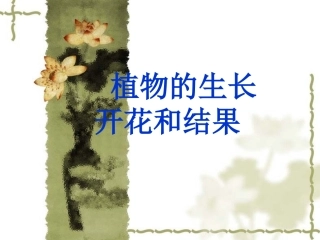 植物的生长开花与结果