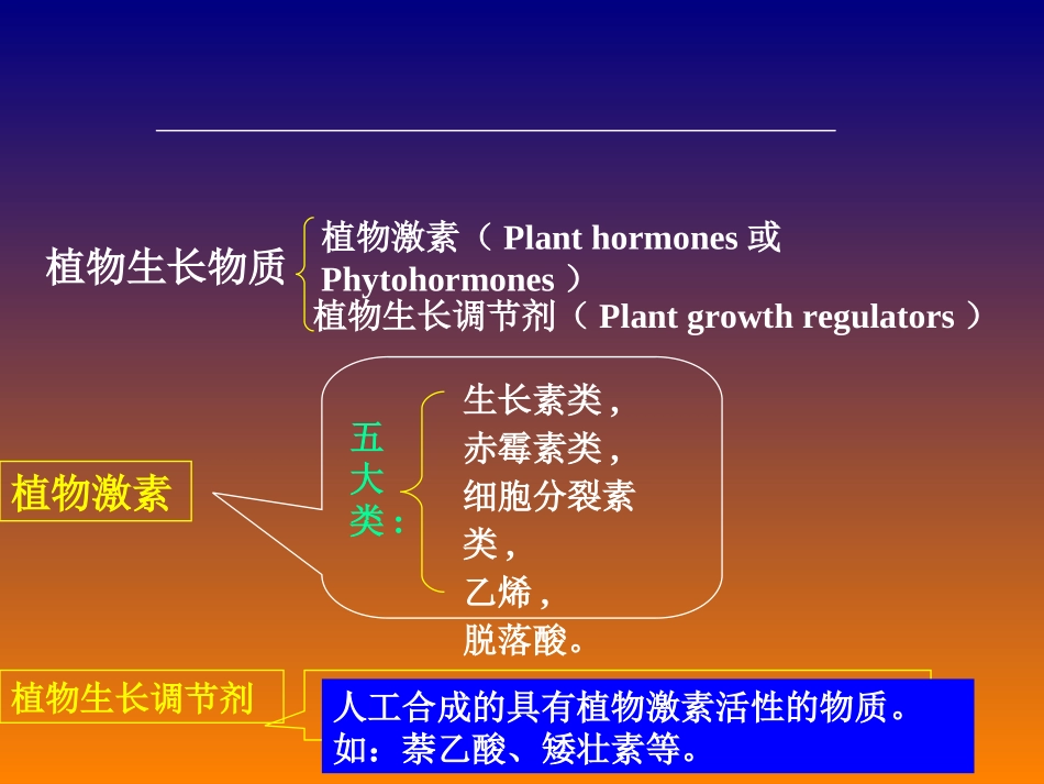 植物的生长物质_第2页