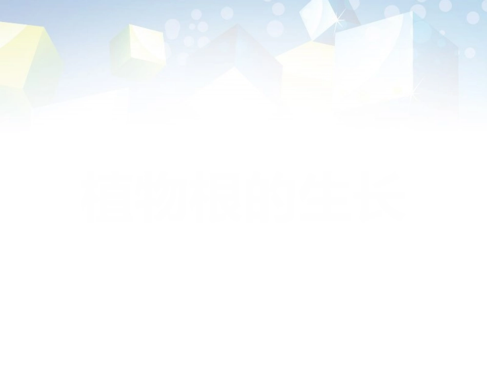 植物根的生长_第1页