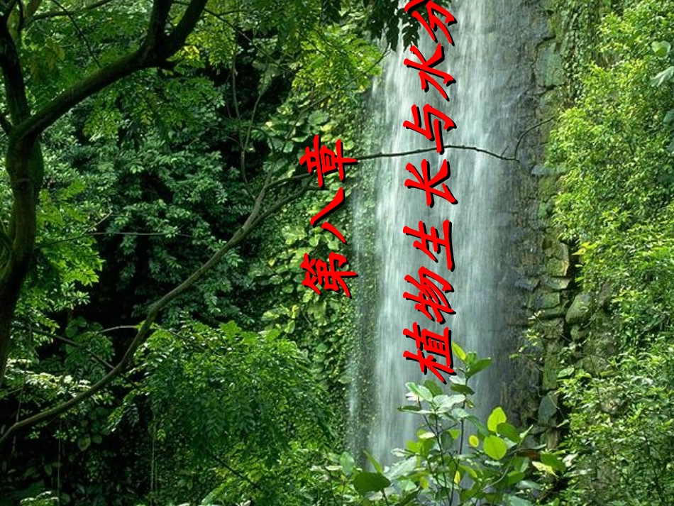 植物生长与水分_第1页