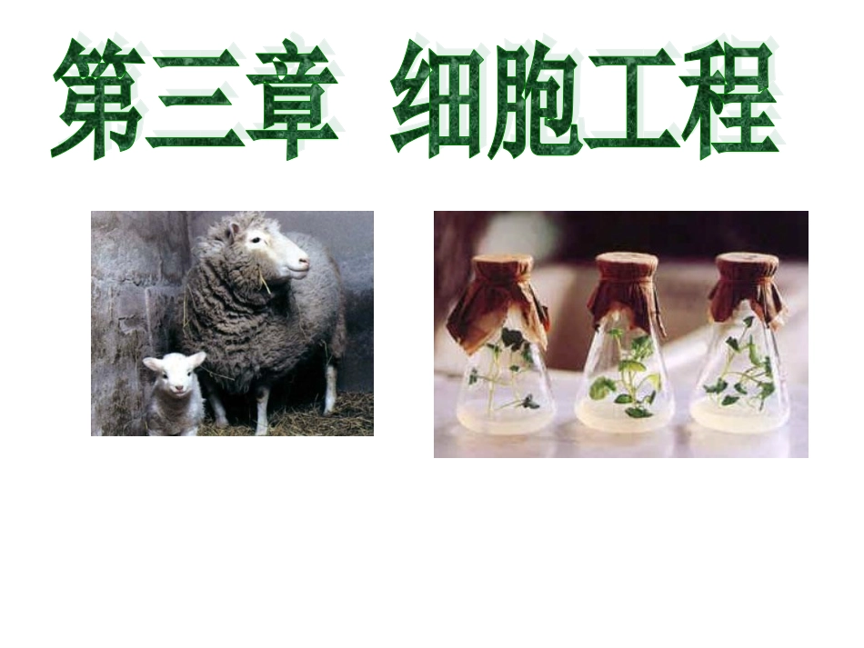 植物细胞工程_第1页