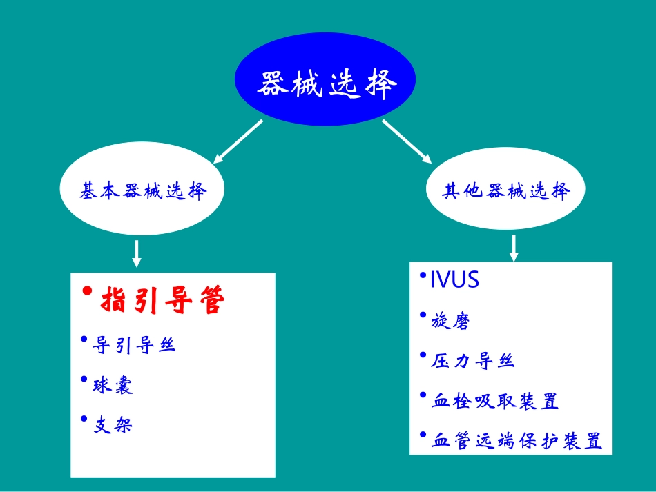指引导管的选择_第3页