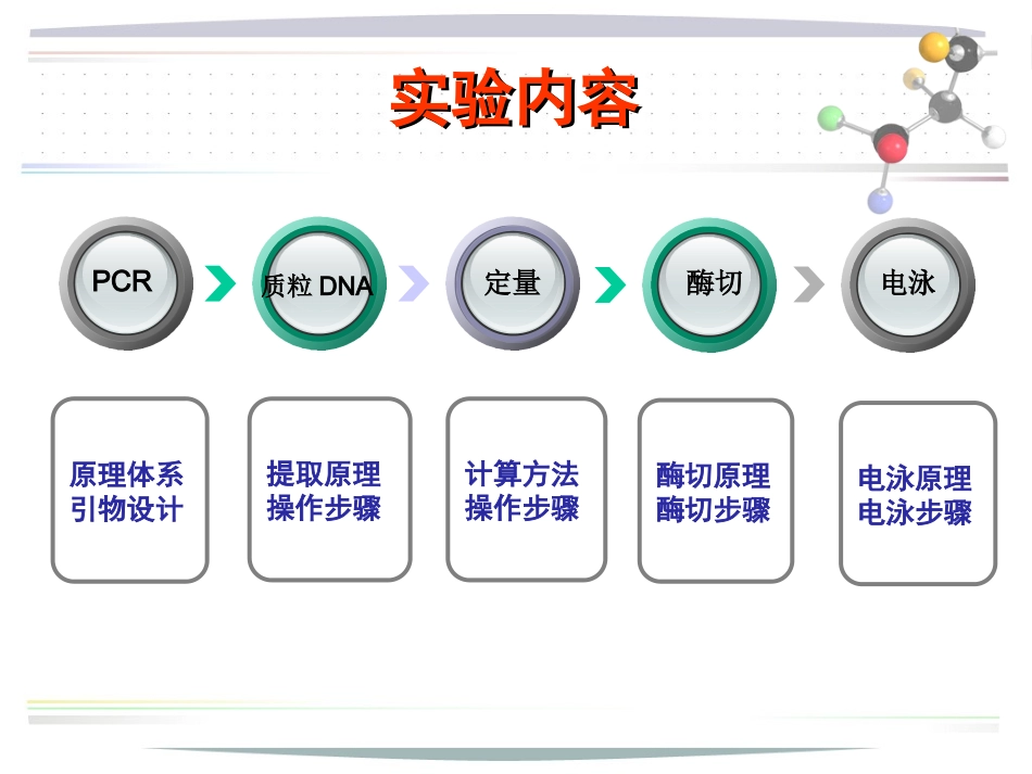 质粒DNA的提取与鉴定_第2页