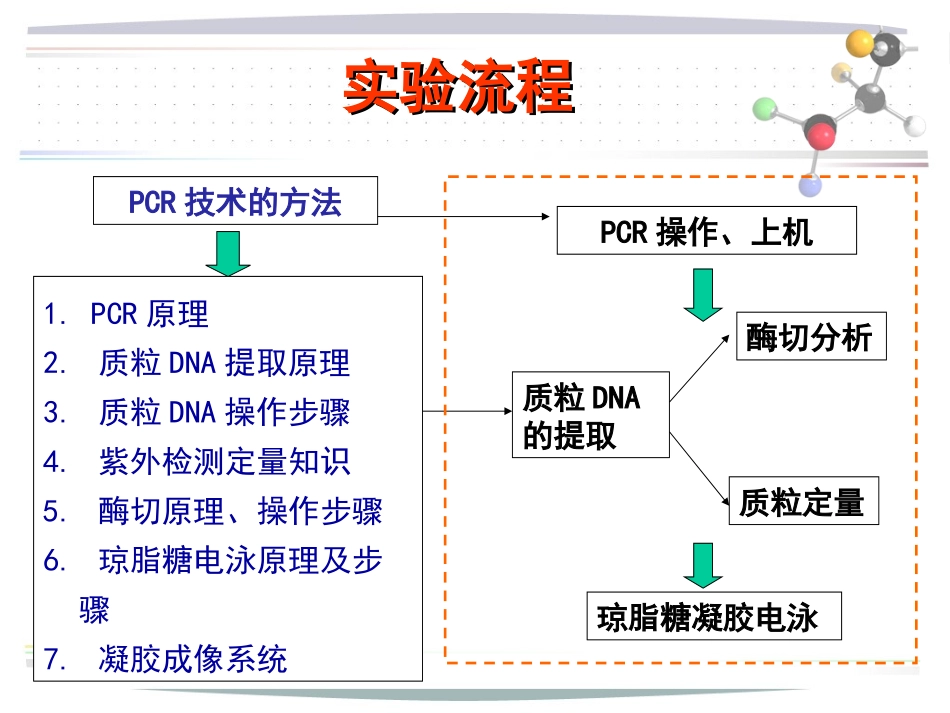 质粒DNA的提取与鉴定_第3页